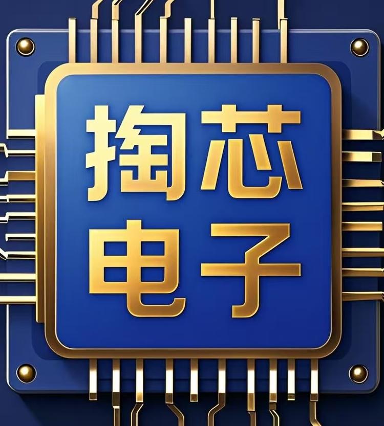 掏芯电子