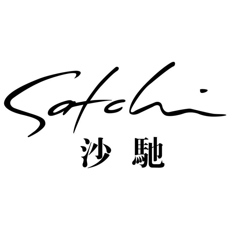 沙驰意沙男鞋专卖店