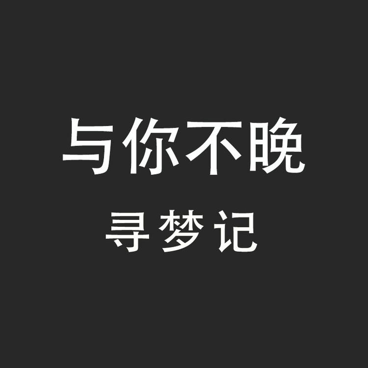 与你不晚寻梦记