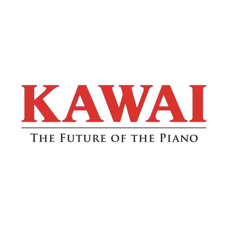 KAWAI卡瓦依律初音乐器专卖店