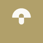 昌吉市乘风小院露营地中心