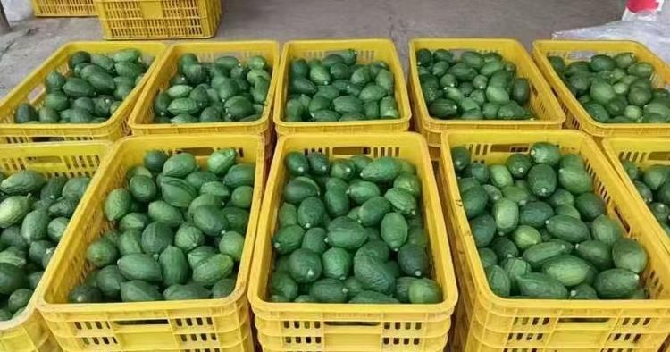 杰文甄选小铺