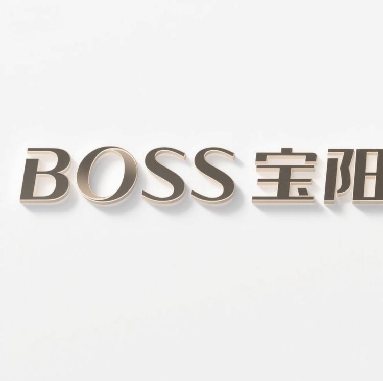 宝阳门业工厂严选