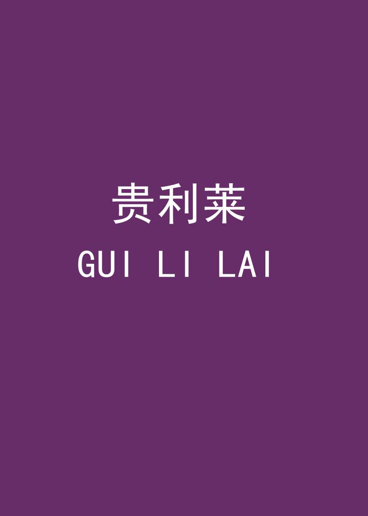 贵利莱妈妈装
