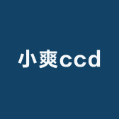 小爽ccd中古相机铺