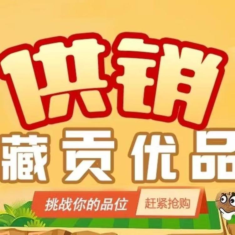西藏藏贡供销特产运营店