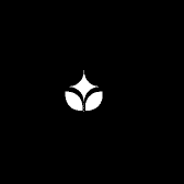 李三火狮头鹅