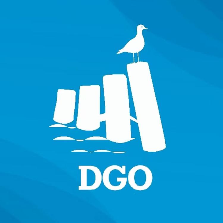 DGO箱包