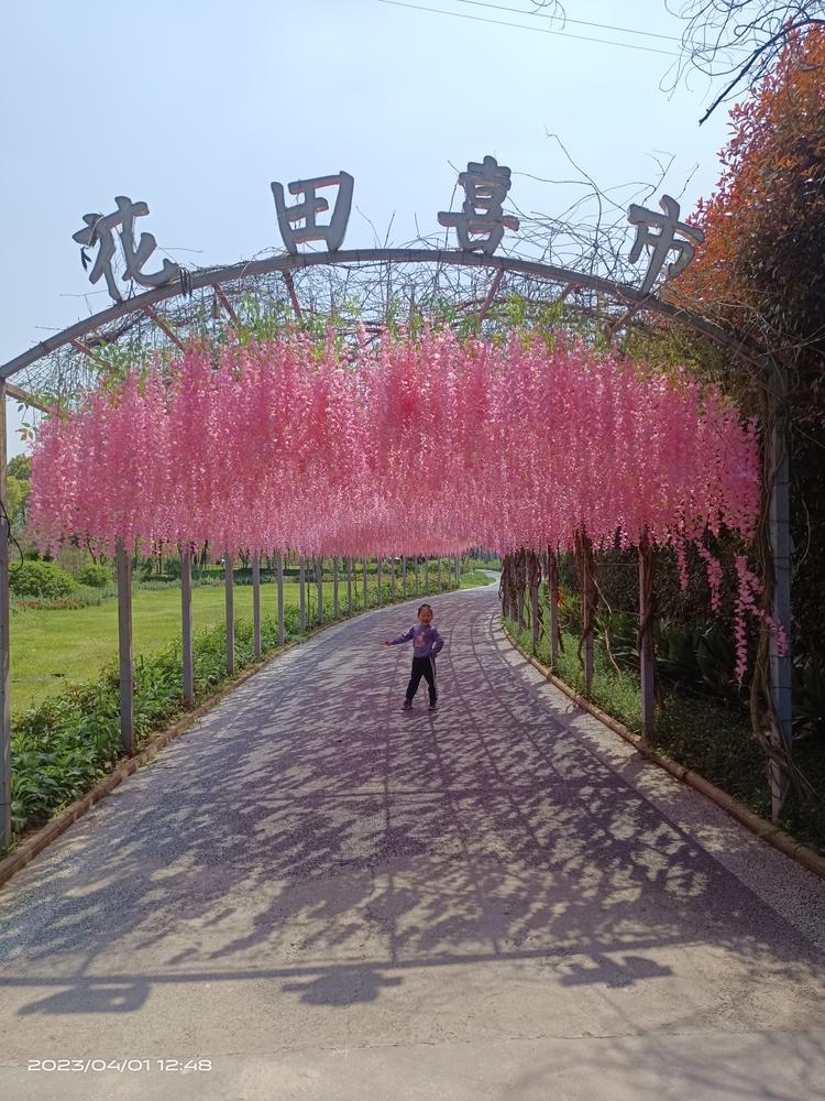 花田厝
