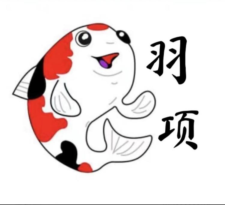 羽项锦鲤俱乐部
