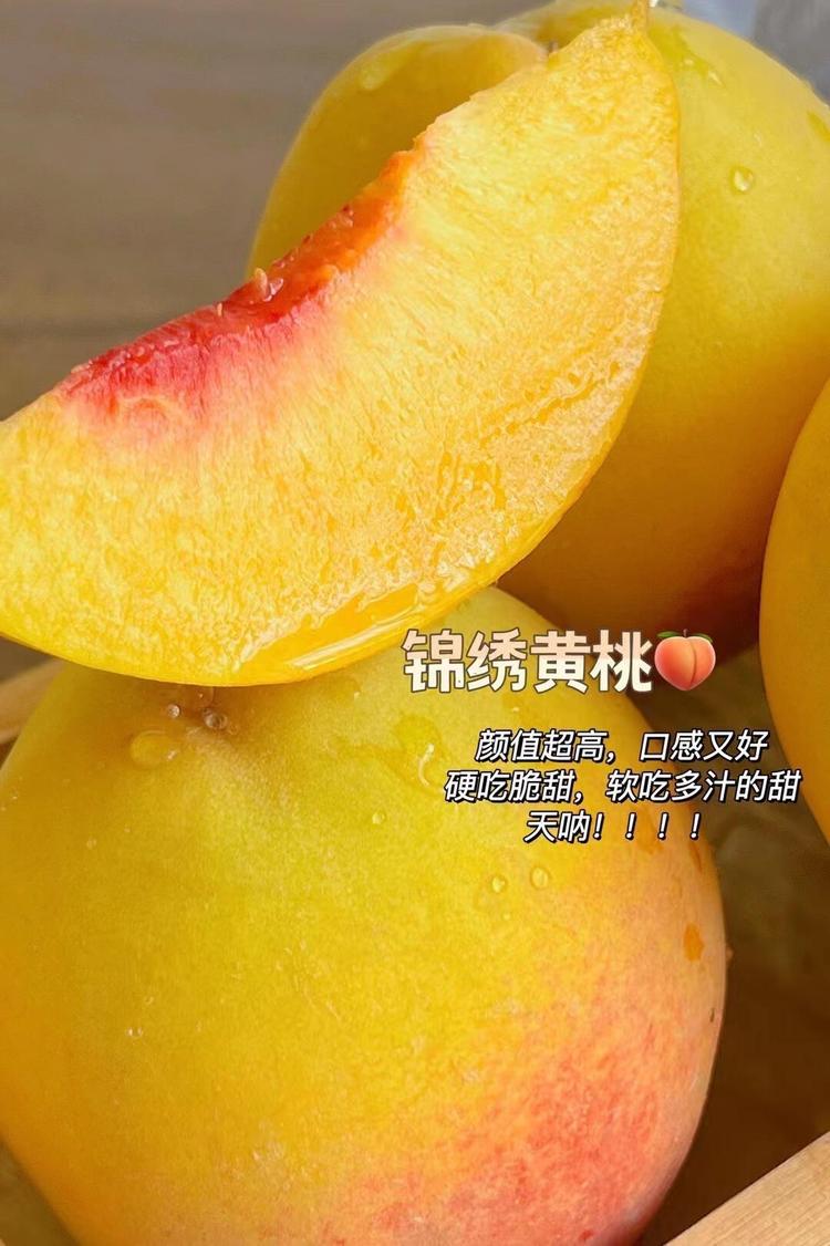 三明建宁锦绣黄桃