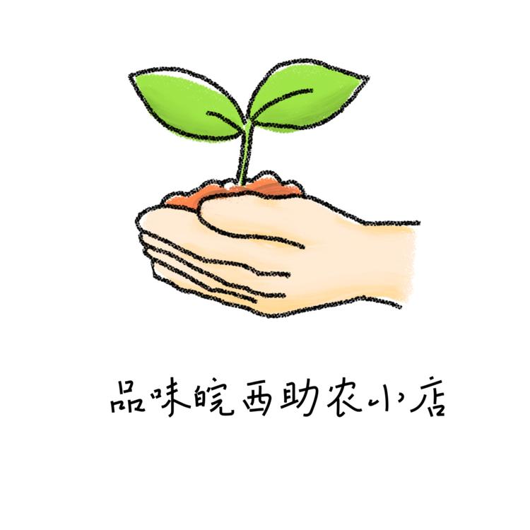 品味皖西助农小店