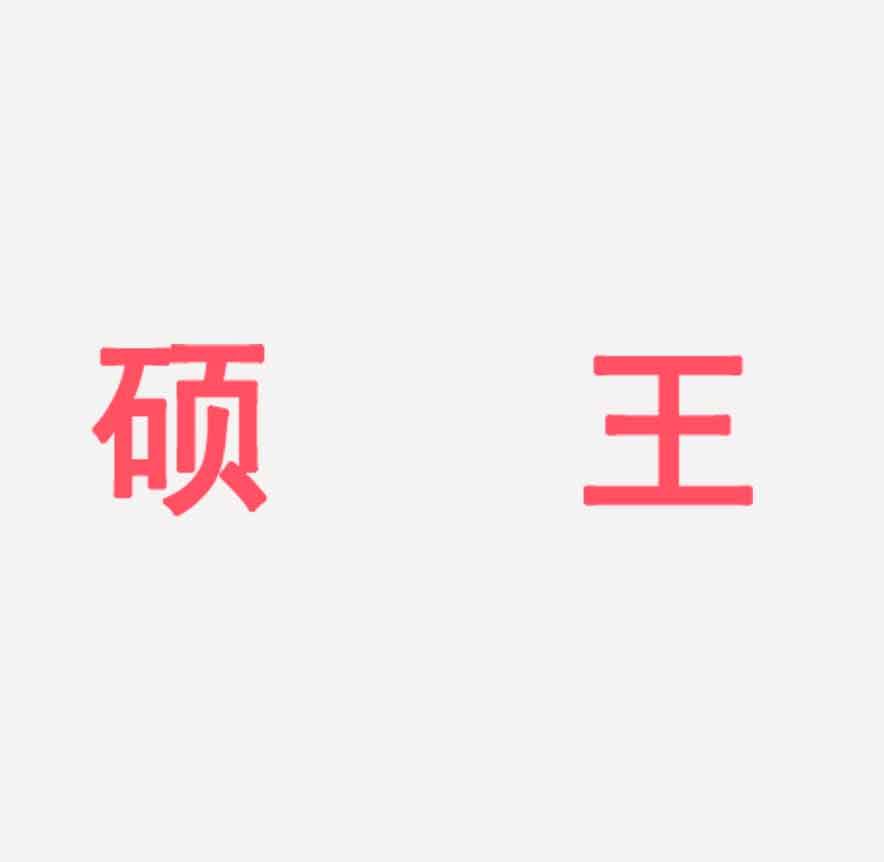 硕王手机旗舰店