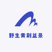 野生黄荆盆景