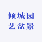 倾城园艺盆景