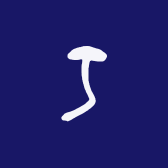 家齐美家