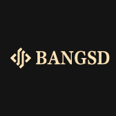 BANGSHDUN邦仕顿电器