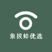 象拔蚌优选