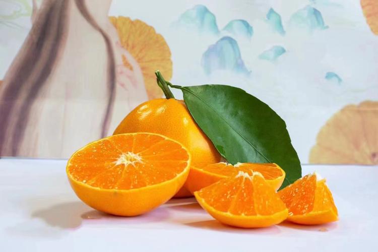 卖柑橘新品种的小杨