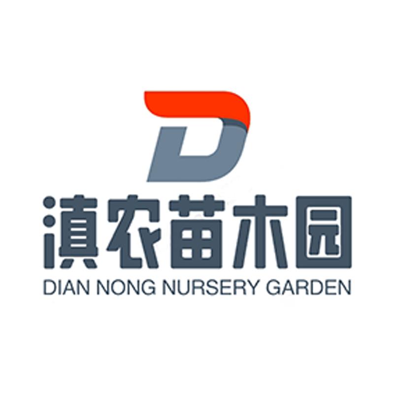 滇农苗木园A
