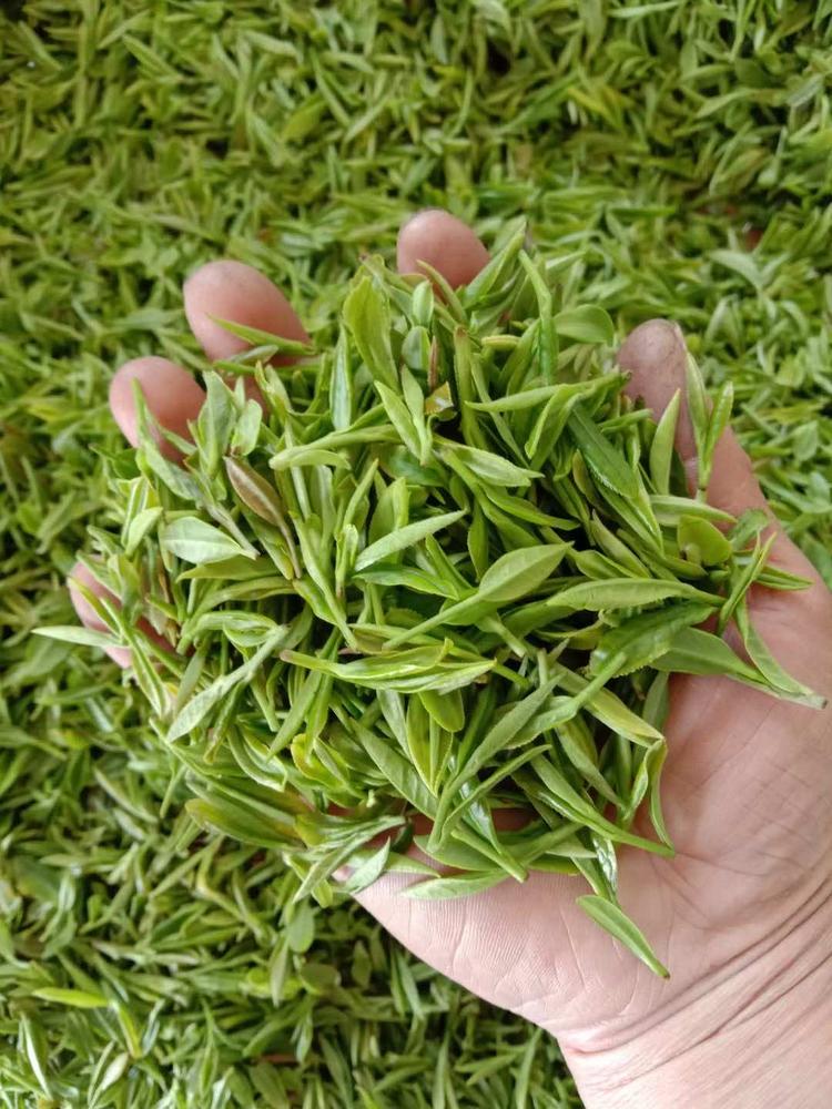 桐城市大关镇饶记茶厂的小店个体店