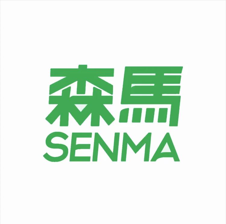 SENMA森马梓婧男鞋专卖店