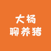 大杨聊养猪