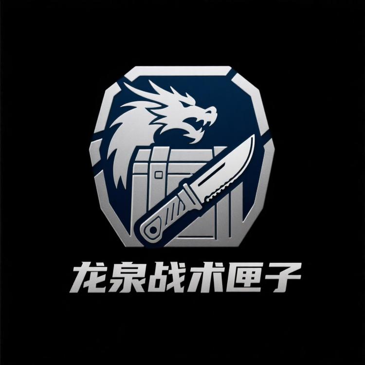 龙泉战术匣子