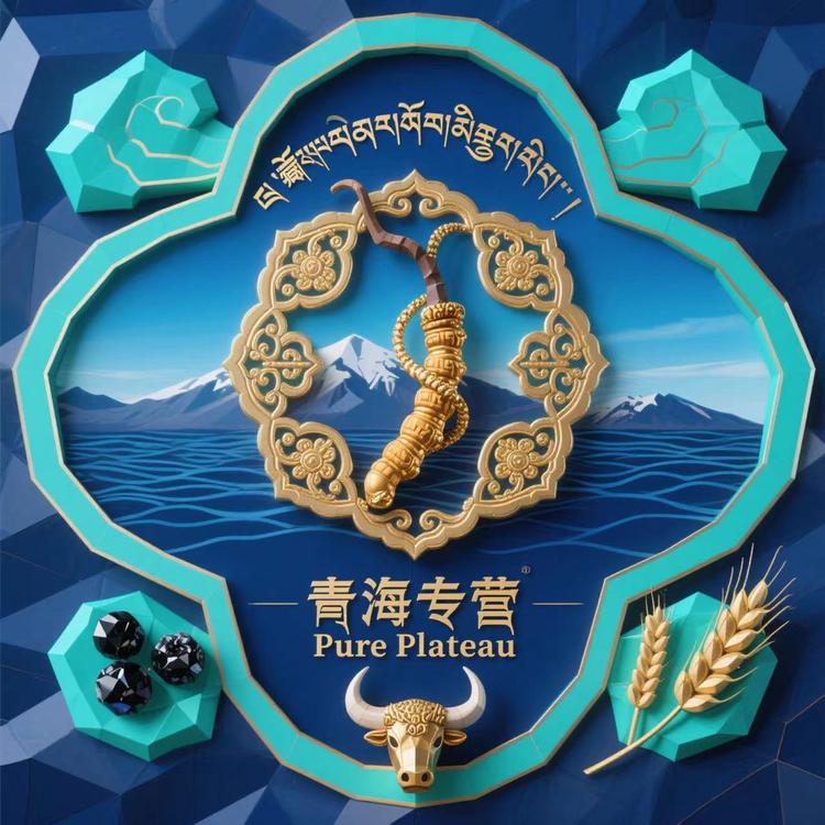 青海专营店