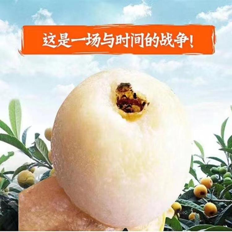 塘栖枇杷科技开发的店铺头像