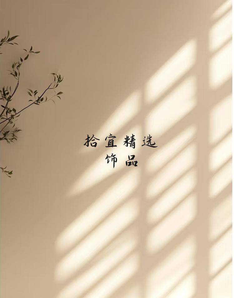 拾宜精选饰品