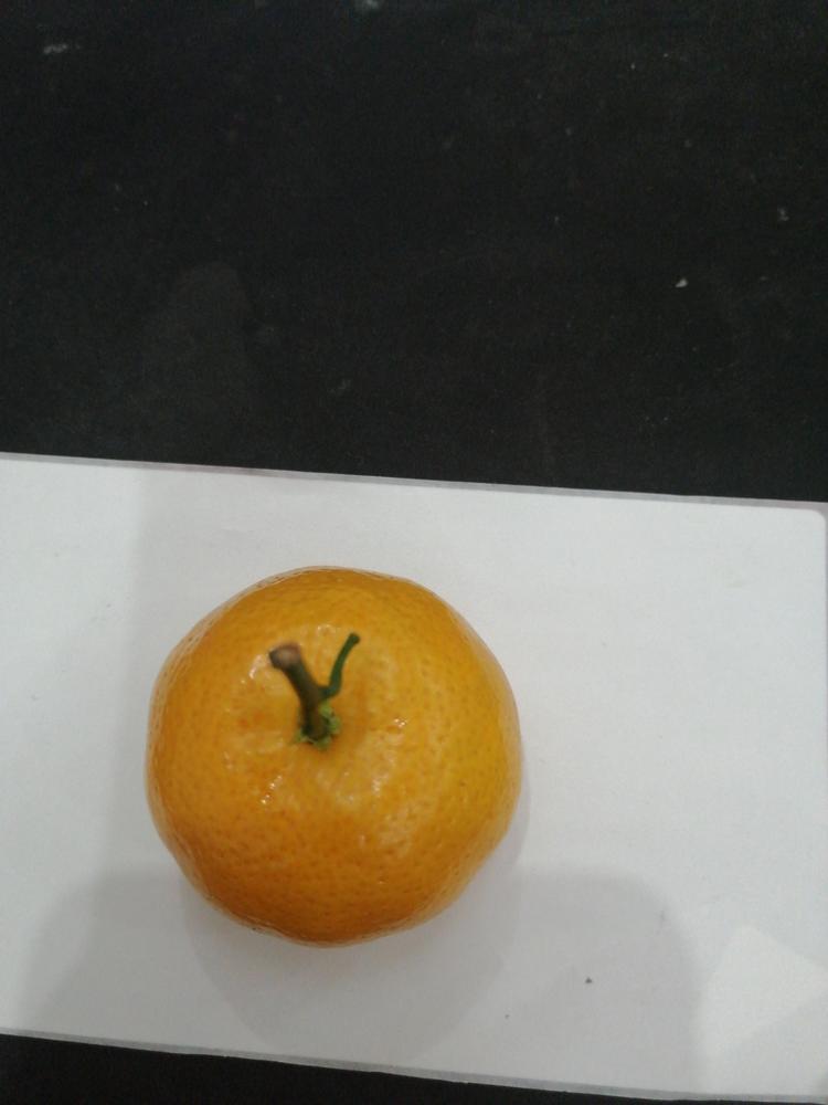 唐五服饰