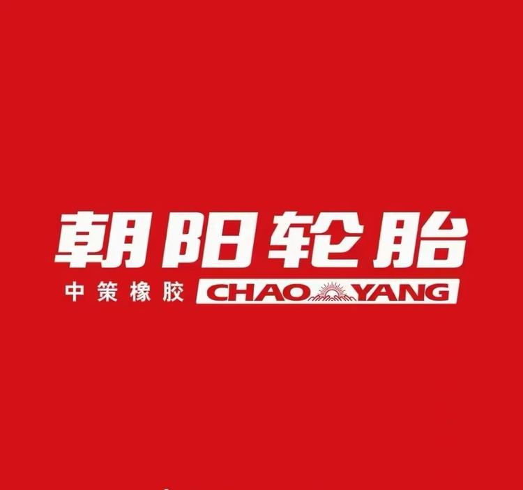 朝阳捷轮专卖店