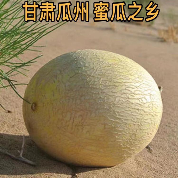 云飞瓜果蔬菜种植基地个体店