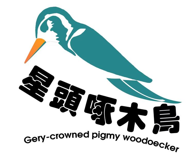 星头啄木鸟男鞋店铺