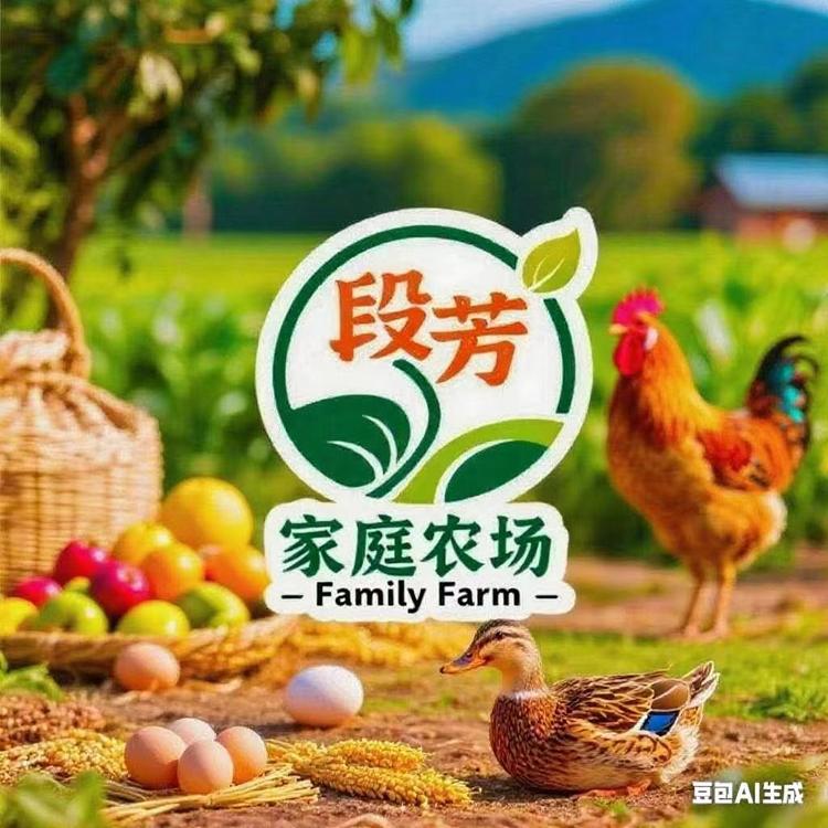 段芳助农产品