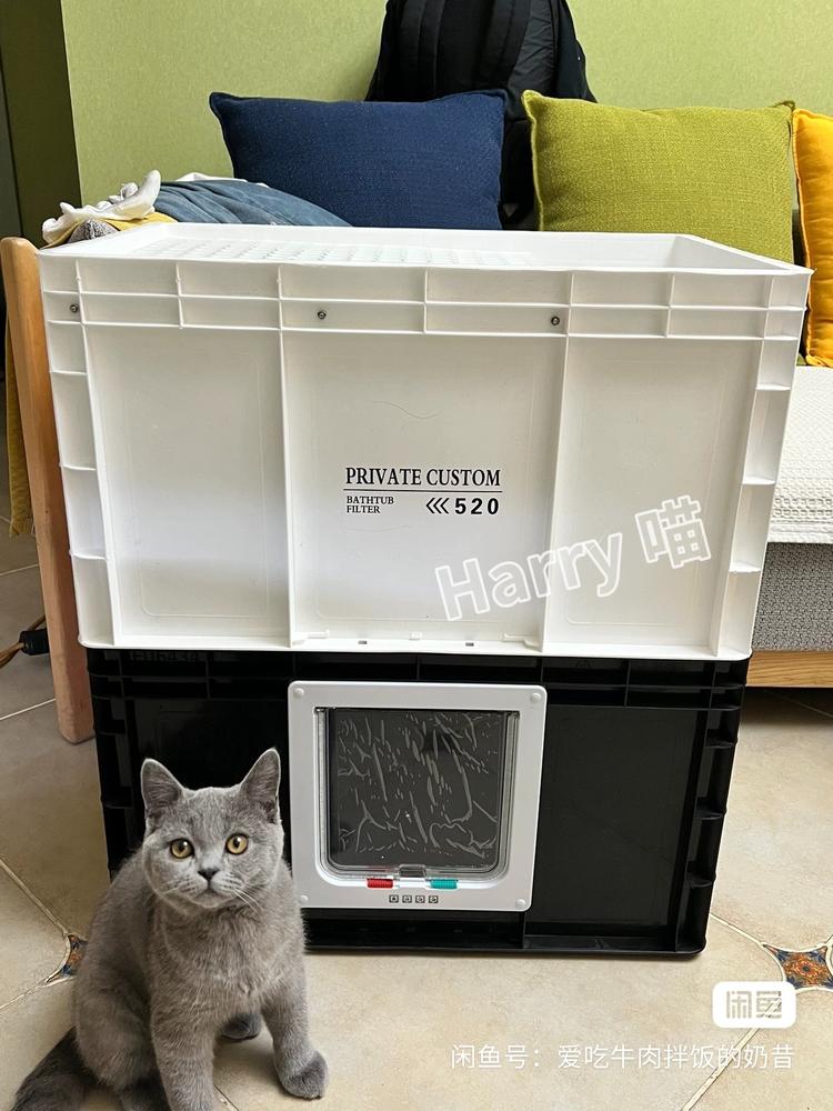 哈瑞喵宠物创意馆