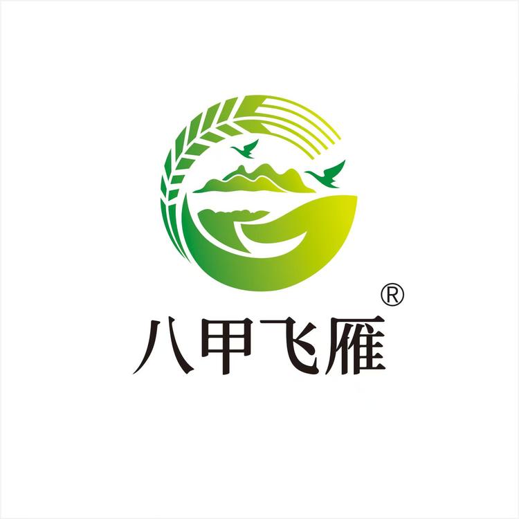 阳春八甲飞雁甄选