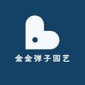 金弹子瓶兰花1