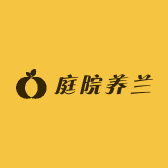 庭院养兰的大壮