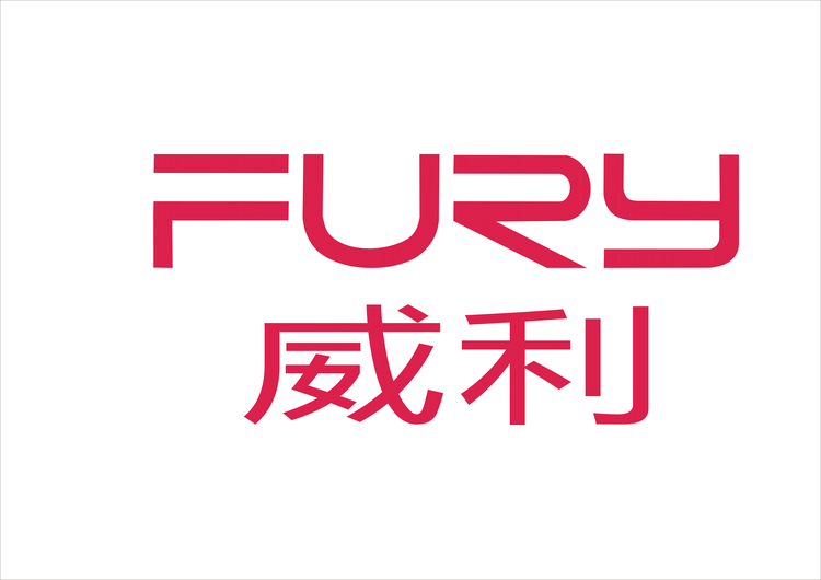 北京威利FURY台球器材
