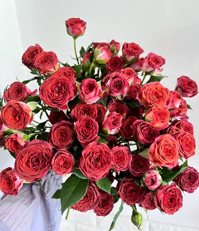 露晞花集