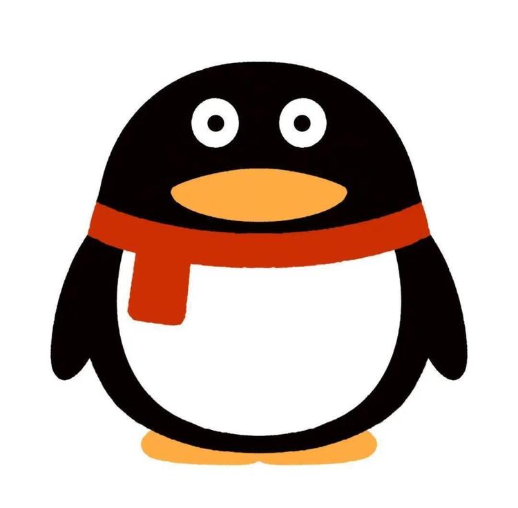 冲冲的生活橱窗