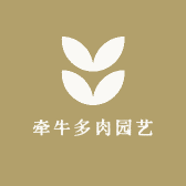 牵牛多肉园艺