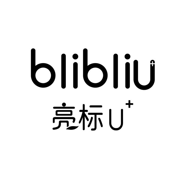亮标精选