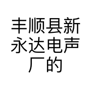 丰顺县新永达电声厂的小店个体店