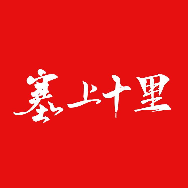 塞上十里宁夏枸杞专卖店