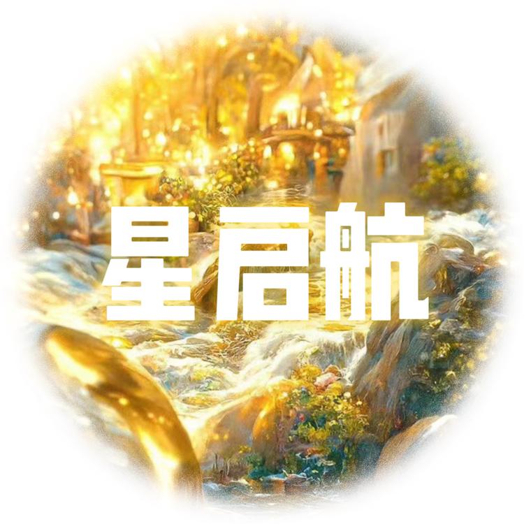 河北星启航商贸有限公司