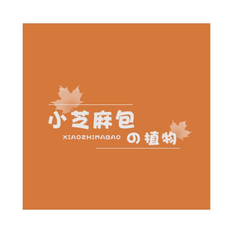 小芝麻包的植物个体店