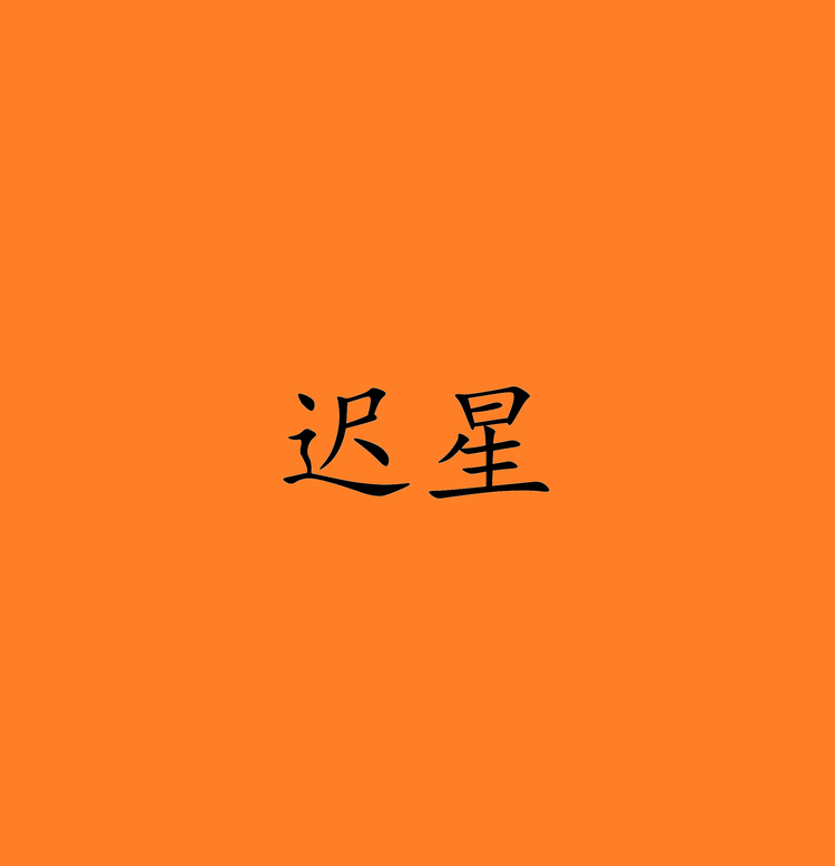 迟星屹电动车专卖店